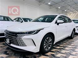 بي واي دي ديستروير 05